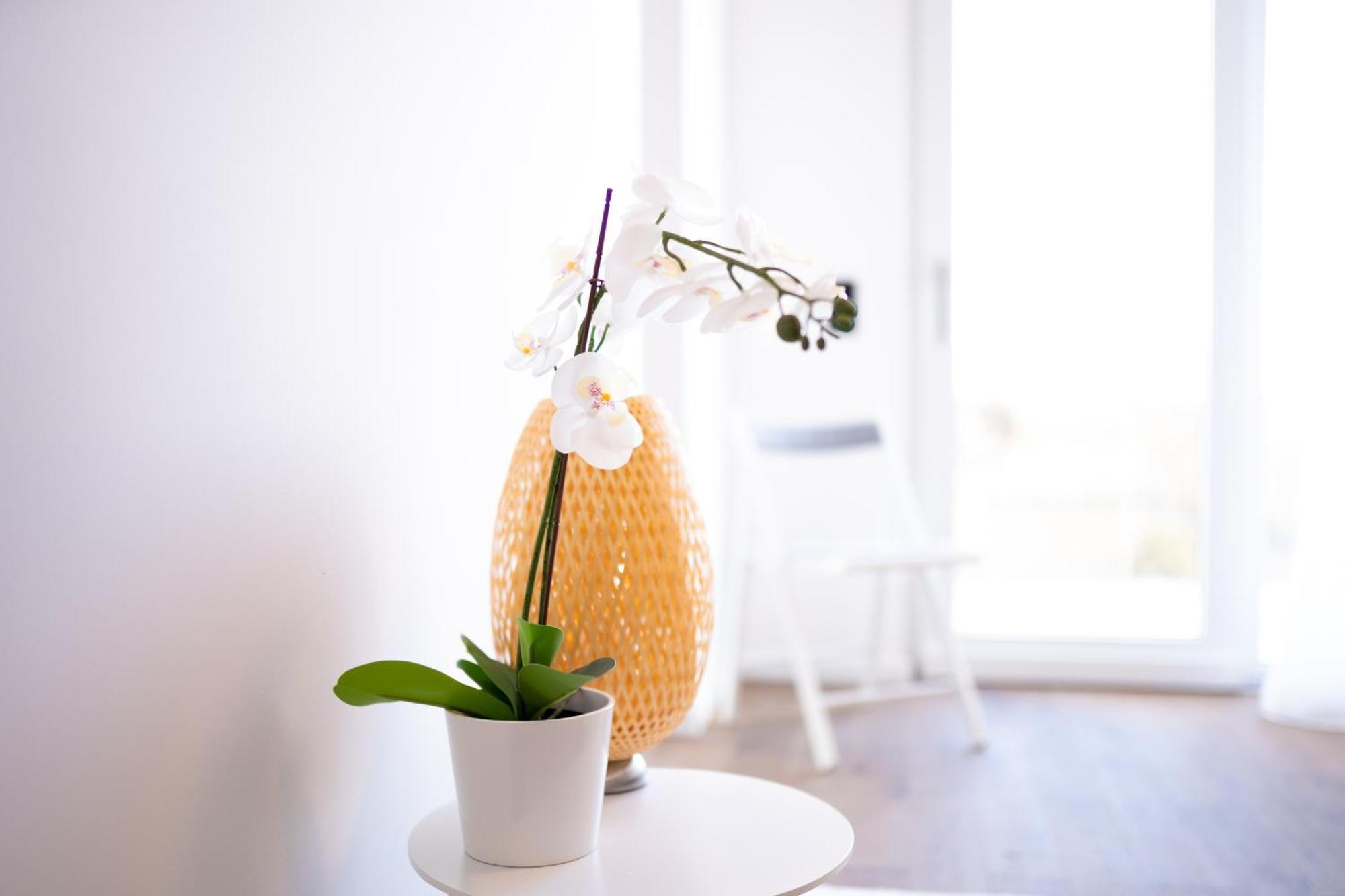 Apartment Premium Design With Balcony & Free Parking Wien
