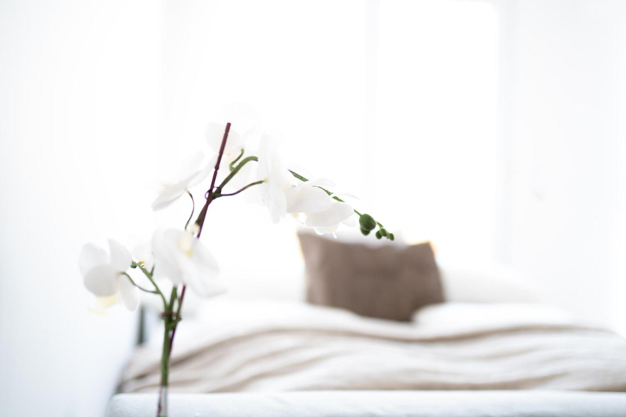 Premium Design With Balcony & Free Parking Apartment Wien