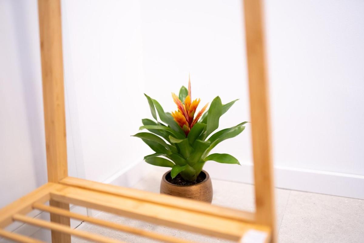 Apartment Premium Design With Balcony & Free Parking Wien