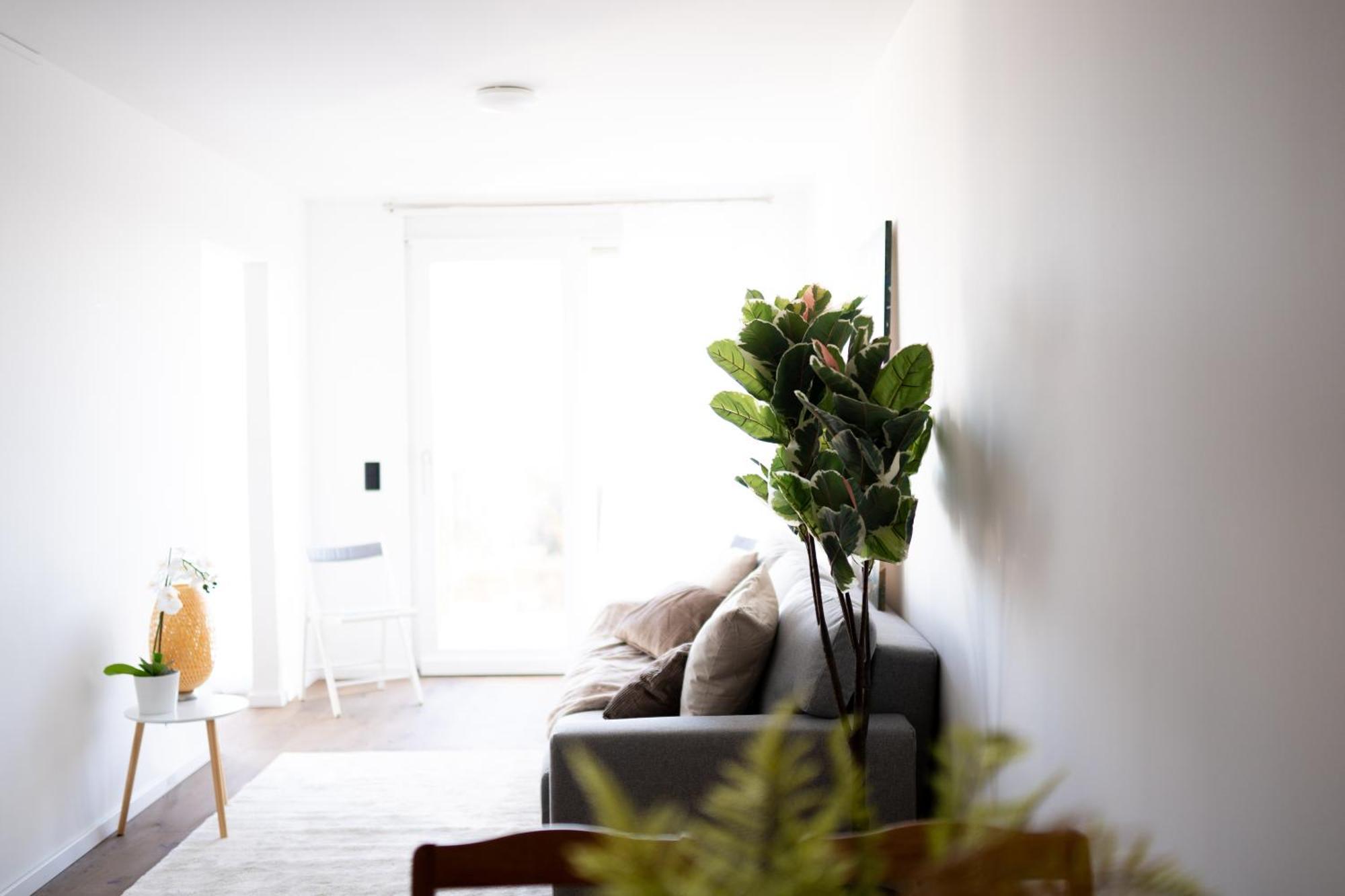 Premium Design With Balcony & Free Parking