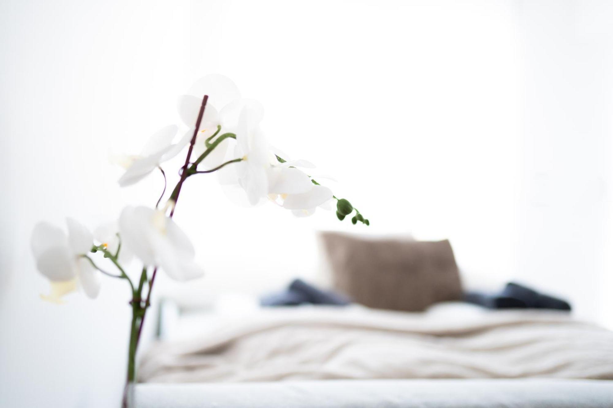 Premium Design With Balcony & Free Parking Wien